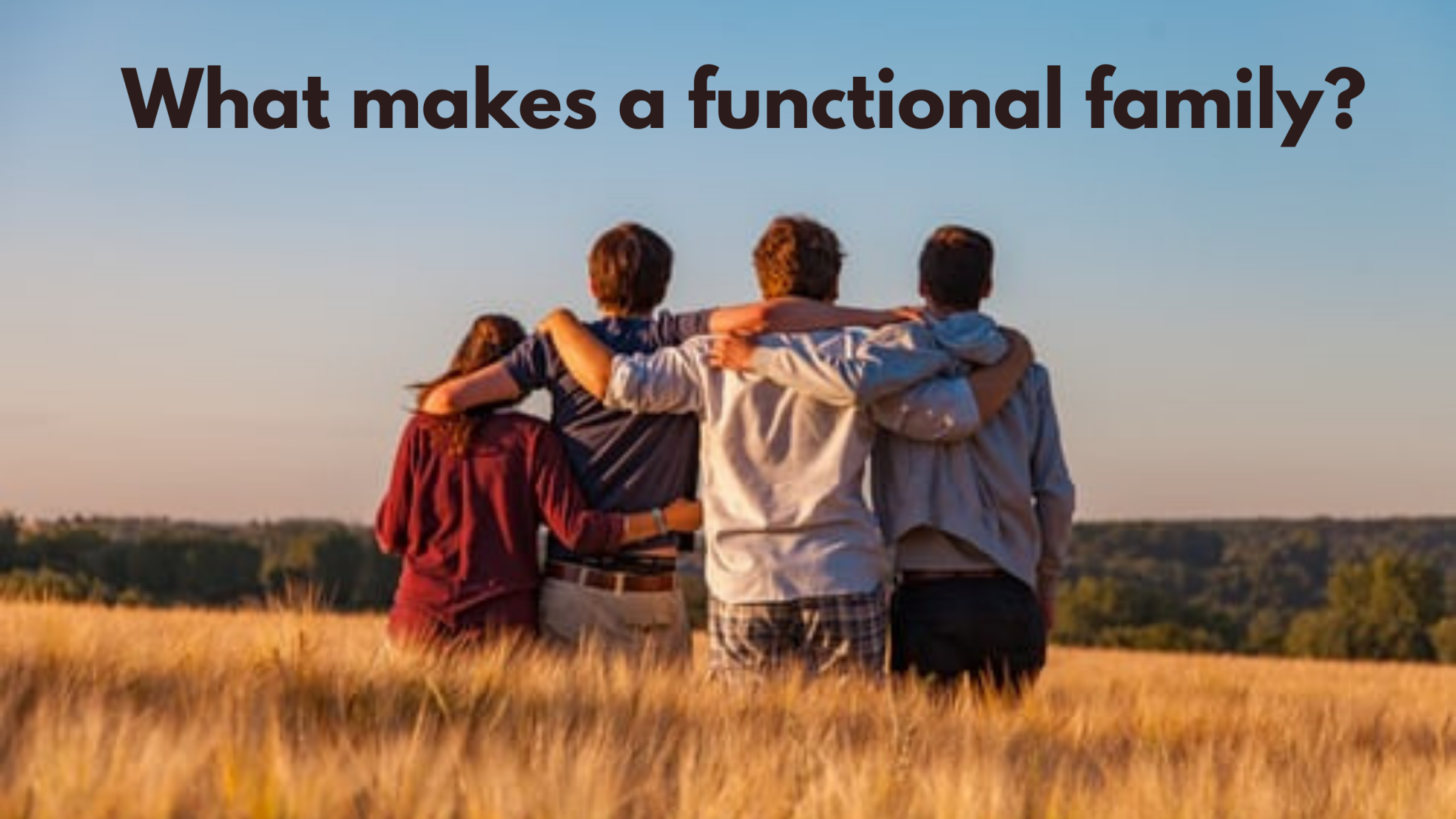What makes a family "Functional"?
