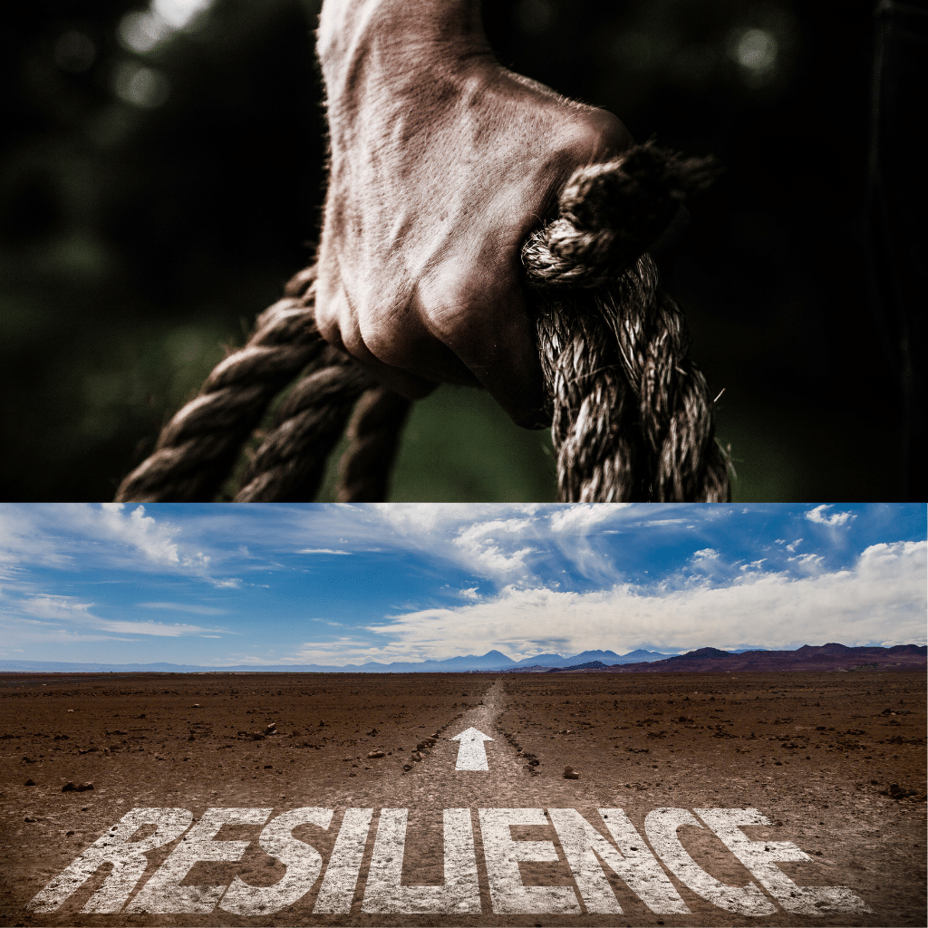 Resilience Counseling: How to Build a Resilience Mindset. | THE ...